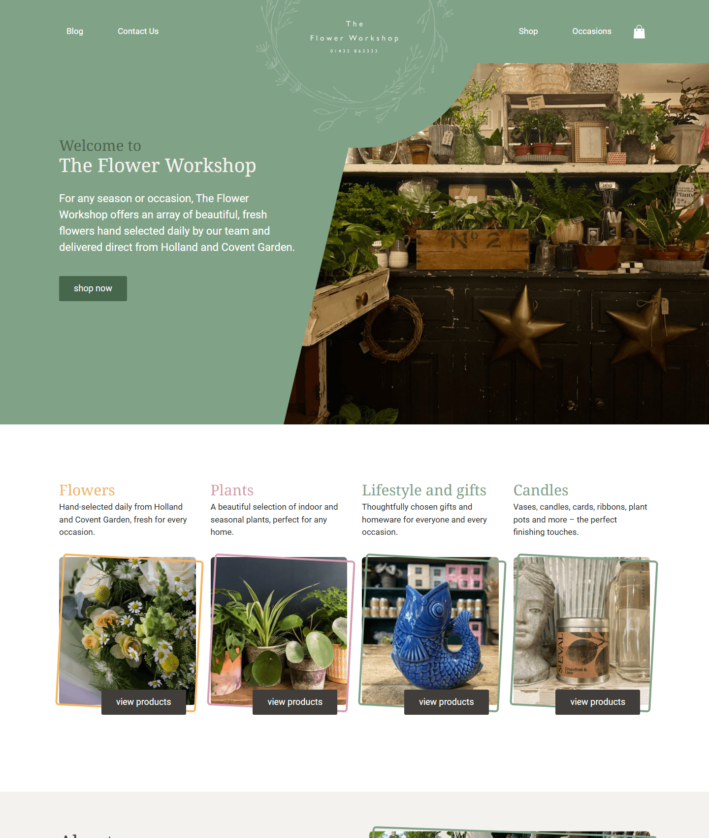 The Flower Workshop website, built by Stephen Evans